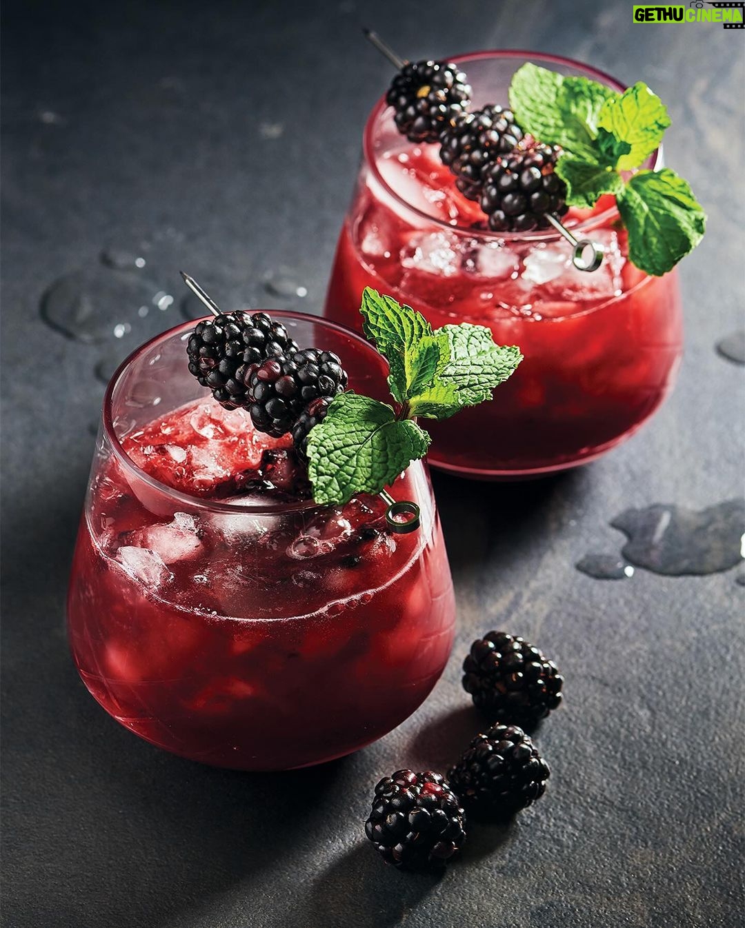 Ricardo Larrivée - 460 Likes - Le mois sans alcool débute dès aujourd’hui et on a des tonnes d’idées pour avoir tout autant de plaisir! Voici des cocktails et des boissons sans alcool dignes des créations d’un mixologue pour accompagner vos apéros et vos soirées festives. Santé! 🍹
📷: Mocktails tonic au concombre / Mocktail à la mûre / Limonade lime, coco et menthe / Mocktail pomme-gingembre / Mocktail « ananas sureau fizz »
Lien dans le profil (@ricardocuisine) pour lire l’article.
_________
The alcohol-free month starts today, and we have tons of ideas for you to have just as much fun! Here are cocktails and non-alcoholic beverages worthy of a mixologist’s creations to accompany your appetizers and festive evenings. Cheers! 🍹
📷: Cucumber Tonic mocktail / Blackberry Mocktail / Coconut and Mint Limeade / Apple-Ginger Mocktail / Pineapple-Elderflower Fizz Mocktail
Link in the profile (@ricardocuisine) to read the article.