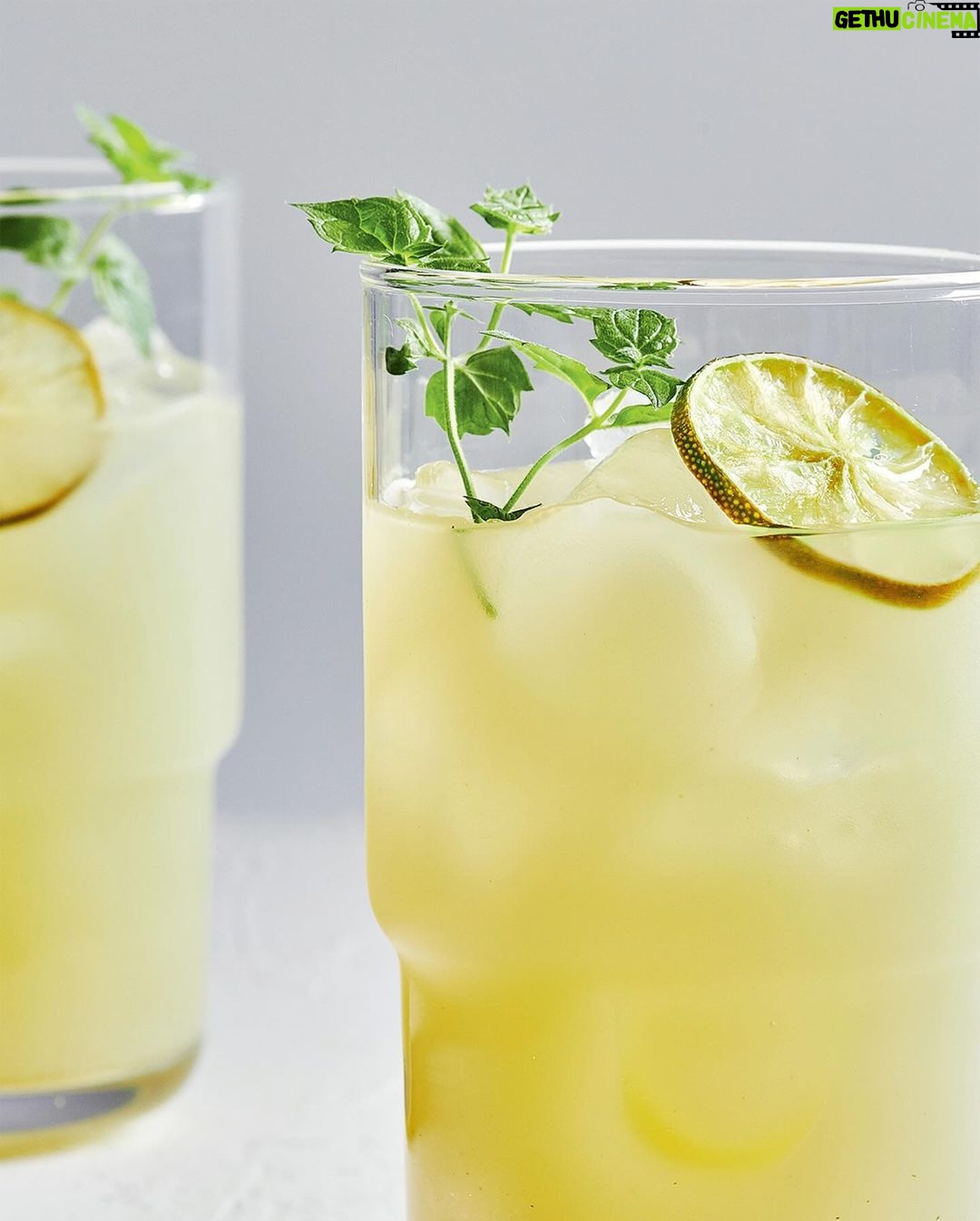 Ricardo Larrivée - 460 Likes - Le mois sans alcool débute dès aujourd’hui et on a des tonnes d’idées pour avoir tout autant de plaisir! Voici des cocktails et des boissons sans alcool dignes des créations d’un mixologue pour accompagner vos apéros et vos soirées festives. Santé! 🍹
📷: Mocktails tonic au concombre / Mocktail à la mûre / Limonade lime, coco et menthe / Mocktail pomme-gingembre / Mocktail « ananas sureau fizz »
Lien dans le profil (@ricardocuisine) pour lire l’article.
_________
The alcohol-free month starts today, and we have tons of ideas for you to have just as much fun! Here are cocktails and non-alcoholic beverages worthy of a mixologist’s creations to accompany your appetizers and festive evenings. Cheers! 🍹
📷: Cucumber Tonic mocktail / Blackberry Mocktail / Coconut and Mint Limeade / Apple-Ginger Mocktail / Pineapple-Elderflower Fizz Mocktail
Link in the profile (@ricardocuisine) to read the article.