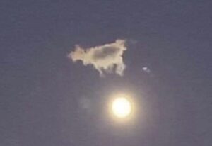 Rick Dees Instagram - The cow finally did it !