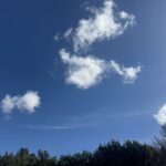 Rick Dees Instagram – Tell me where I saw this clear blue sky and you WIN!