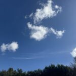Rick Dees Instagram - Tell me where I saw this clear blue sky and you WIN!