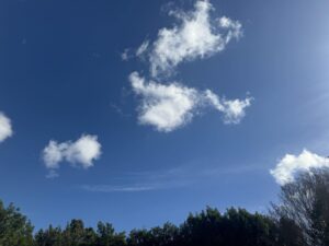 Rick Dees Instagram - Tell me where I saw this clear blue sky and you WIN!