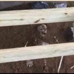 Rick Dees Instagram - From a listener: Redoing the deck… So I went to Party City and purchased a skeleton. Now, in 20 years, when the new homeowner needs to redo the deck…