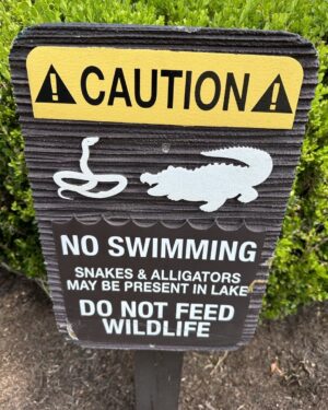 Rick Dees Instagram - I already have my swimsuit on, so I’m going to  go ahead and dive in the lake… I’ll let you know how it goes.