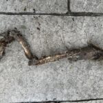 Rick Dees Instagram - I found this animal’s leg on my patio this morning. Can you guess what animal it was? Please don’t say it reminds you of my career.😃