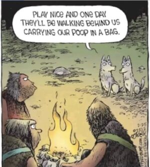 Rick Dees Instagram - If you have a dog, this is for you..😄