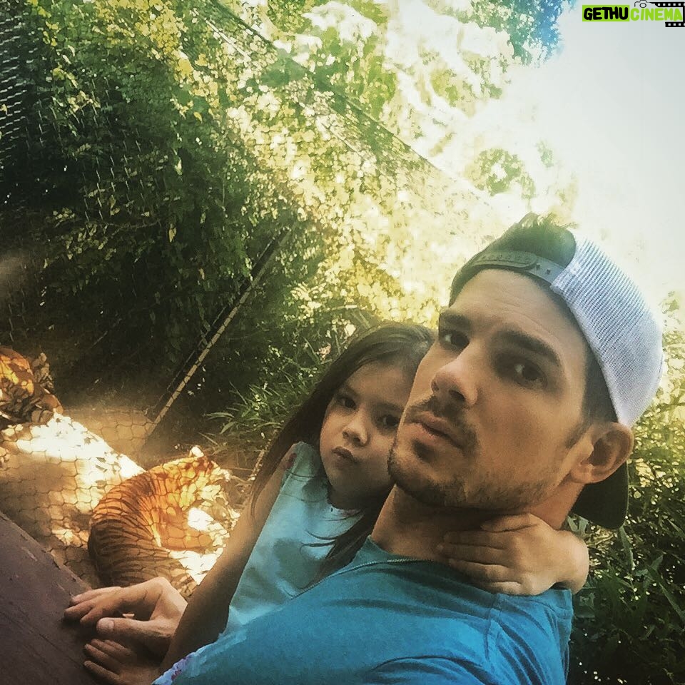 Rick Malambri Instagram - "Daddy, let's get a picture with the big kitty Tigers"