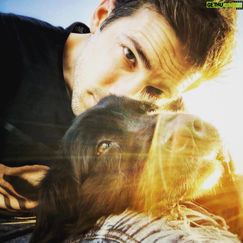 Rick Malambri Instagram - Sweet sweet Kali, You were cherished more than you’ll ever know. A living light that shined so extraordinarily bright. All you ever wanted was to love and be loved on. You brought the biggest smiles to our faces, even on our darkest of days. We will miss you tremendously, beautiful baby girl. Rest In Peace, we love you. ❤️