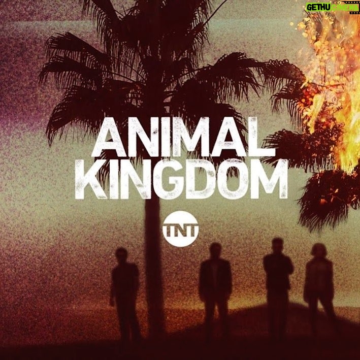 Rick Malambri Instagram - ...Catch your boy, tomorrow night, on TNT’s, Animal Kingdom at 9pm ET!! LETS GO!! #SUBU #AnimalKingdom