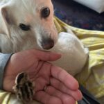 Ricki Lake Instagram - Omg.