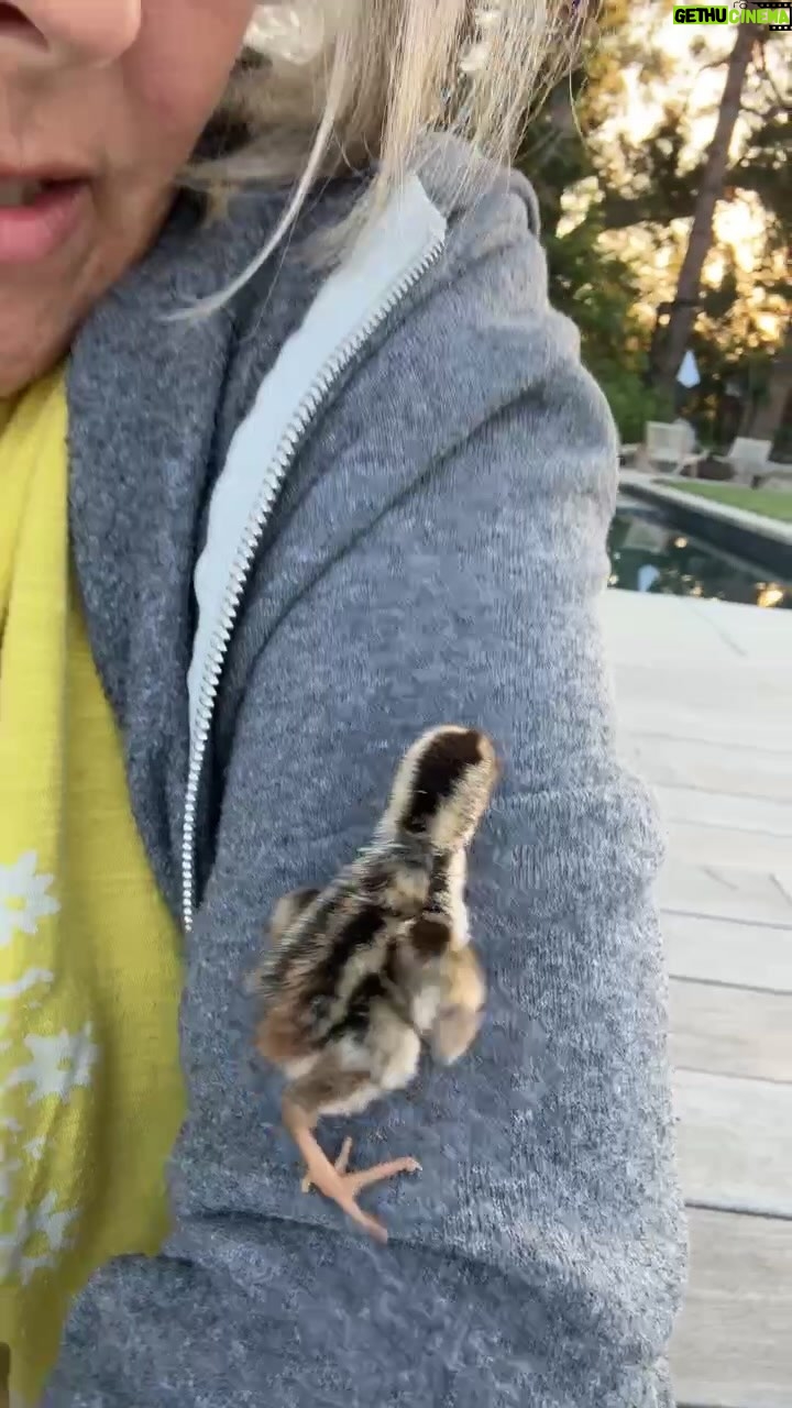 Ricki Lake Instagram - Found a baby bird. 🥲🥲🥲