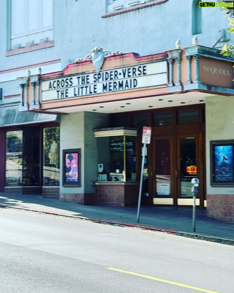Ricki Lake Instagram - A true pinch me moment. Went to see #thelittlemermaid w/ Ross in Mill Valley (the cutest town ever.) Our first time seeing a movie together 🍿 in an actual theater (outside of my doc screenings) since we met during covid. We were literally the only 2 people in the theater. I got to sing/scream 🎤 at the tops of my lungs 🫁 along with Ariel. #partofyourworld 🎶 And….to my surprise one of the trailers showing was Hairspray! Yes, my very first movie from 1988 is being rereleased in select theaters on June 11th for its 35th year anniversary. Made me so freaking happy! 💃🏻🌈 ♥️ #tracyturnblad #35years #lifeissogood Mill Valley, California