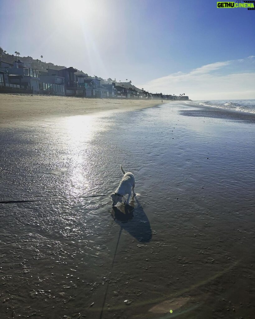 Ricki Lake Instagram - The bad days are long gone for this rescue dog. #adoptdontshop #joy #peace ♥ Malibu Beach