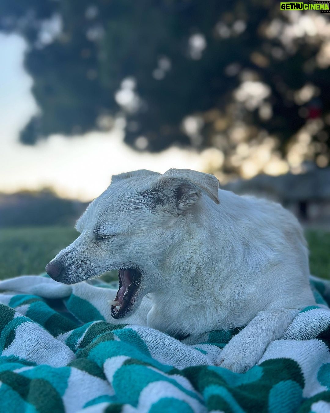 Ricki Lake Instagram - I scored. Full stop. #lovemystepdaughters #lovemyhusband #lovemyrescuedog #lovemylife #lovemyself #gratitude ✨✨✨✨✨✨♥️ Malibu, California