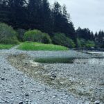Ricki Lake Instagram - Kodiak Alaska photo dump. 🐳 🦅 🐻 🦭 #bucketlist ✅ Kodiak, Alaska