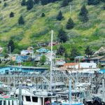 Ricki Lake Instagram - Kodiak Alaska photo dump. 🐳 🦅 🐻 🦭 #bucketlist ✅ Kodiak, Alaska
