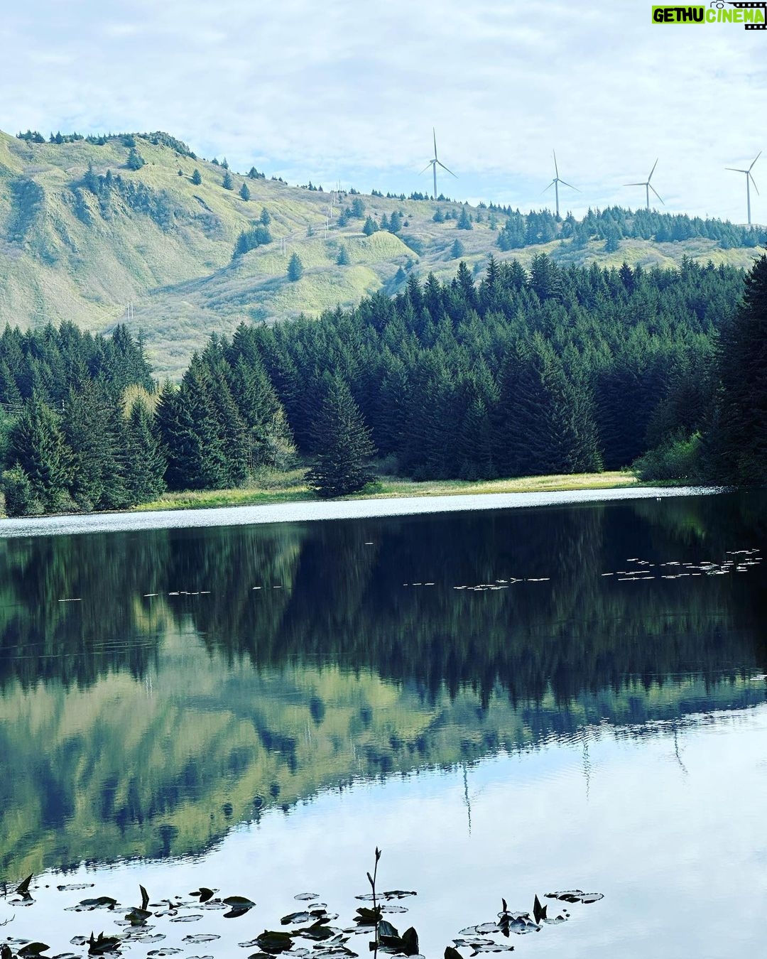 Ricki Lake Instagram - Kodiak Alaska photo dump. 🐳 🦅 🐻 🦭 #bucketlist ✅ Kodiak, Alaska