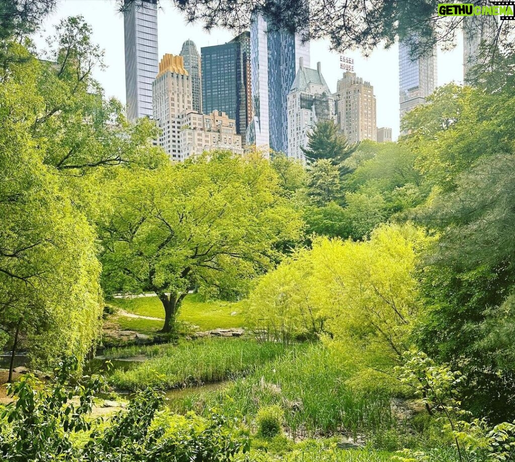 Ricki Lake Instagram - NYC photo dump #springtime 💕