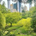 Ricki Lake Instagram - NYC photo dump #springtime 💕