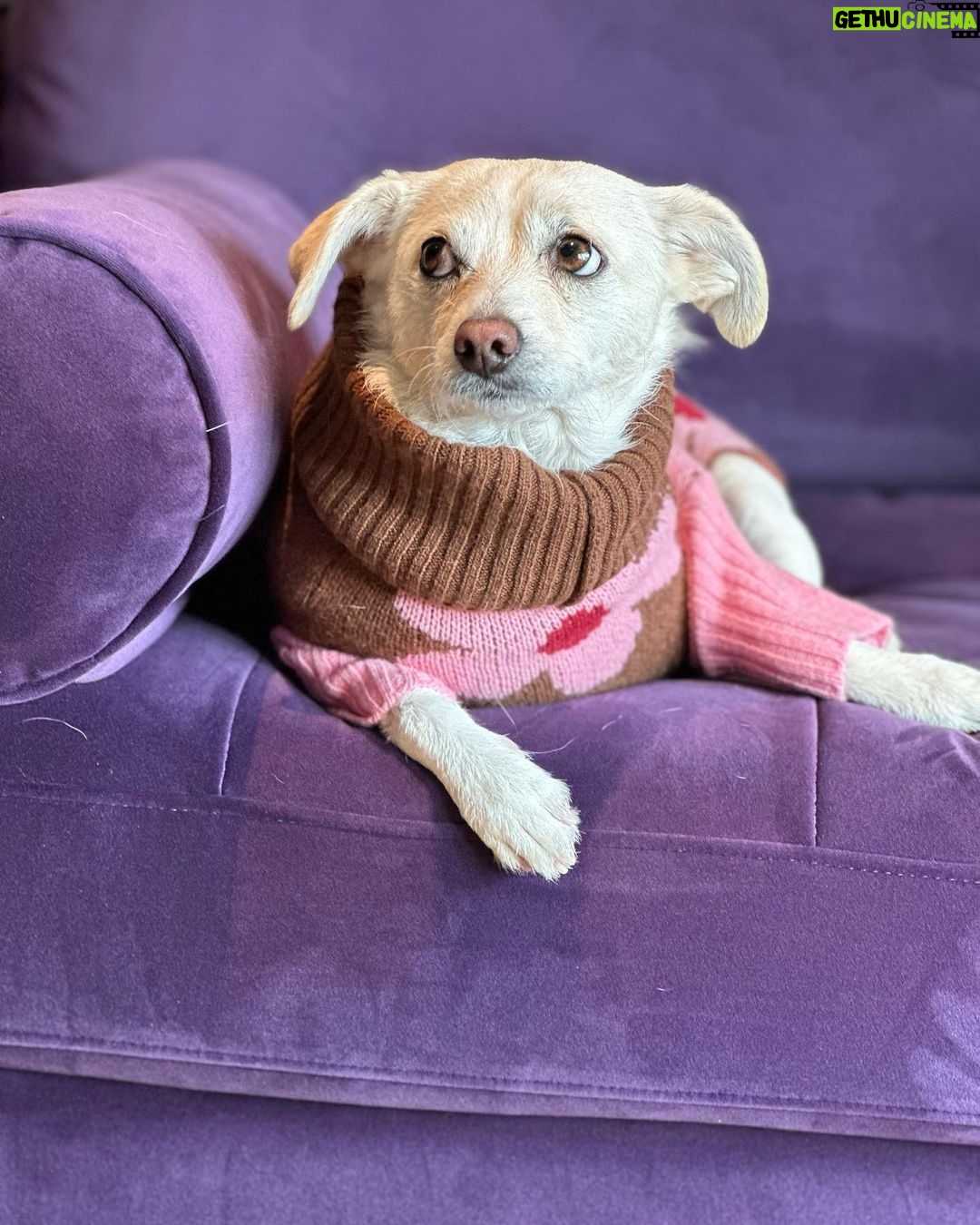 Ricki Lake Instagram - Dolly’s in a #mood. 11:11 ♥️