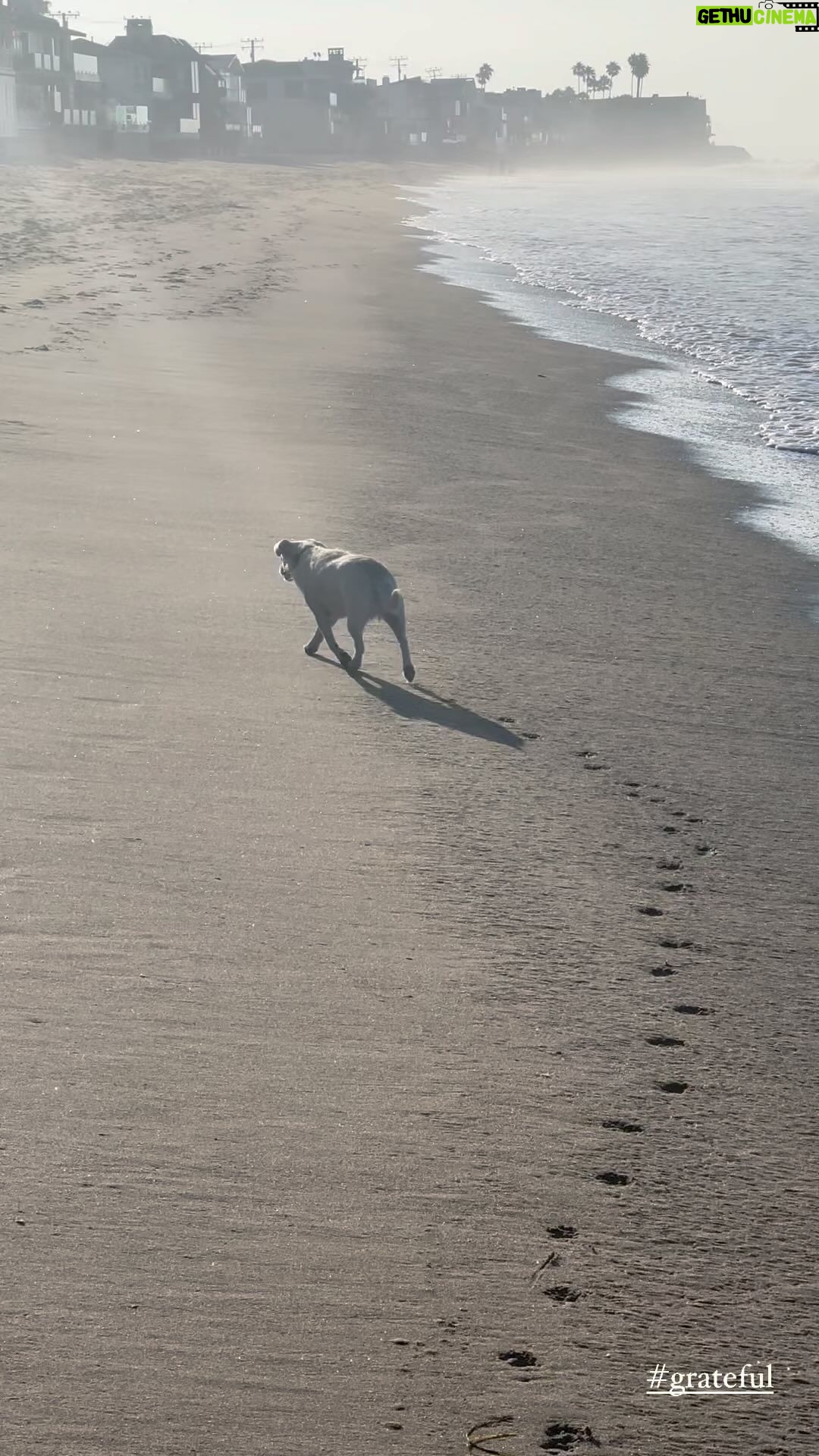 Ricki Lake Instagram - Grateful for this beautiful and abundant life of mine. #peace #joy #play #selflove #calm #love #thisis54 #rescuedog #adoptdontshop ♥️