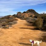 Ricki Lake Instagram - Oh, the places we go. Grateful. Nature. Love. ❤️ #topangalookout