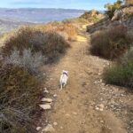 Ricki Lake Instagram - Oh, the places we go. Grateful. Nature. Love. ❤️ #topangalookout
