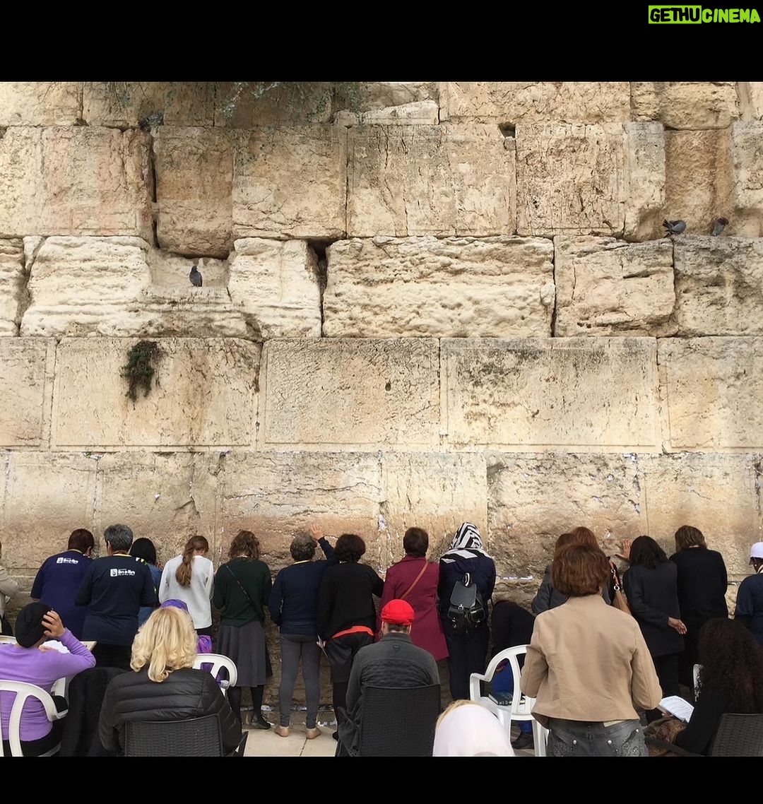 Ricki Lake Instagram - I do not mean to be silent during this horrific time. I have been at a complete loss of what to say in this moment. I am horrified and scared. What has happened to our humanity? I had the privilege to visit Israel with my partner Abby Epstein in Nov 2015 while filming our documentary Weed the People. Israel has been the leader in cannabis research. I had always wanted to visit and my time there was magical and inspiring. Had the honor of meeting and interviewing the late great Raphael Mechoulam and his team of Scientists on the incredible life-saving advances that they were making with cannabis for cancer research. My old talk show was also extremely popular in Israel. It was wild and surprising to see that even more than a decade after my show was off the air I was still recognized. I am proud of my Jewish heritage and will continue to pray for my people, and all of my friends in Israel, as well as the thousands of innocent Palestinians that are unjustly subjected to the rule of Hamas. #prayforisrael #prayingforpeace #prayingfortheworld