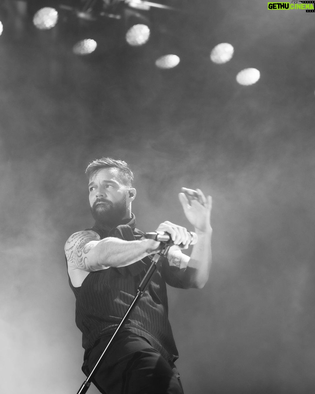 Ricky Martin Instagram - #photodump gracias #Mendoza . 📸: @leandrovco 👕: @dvlstylist Argentina