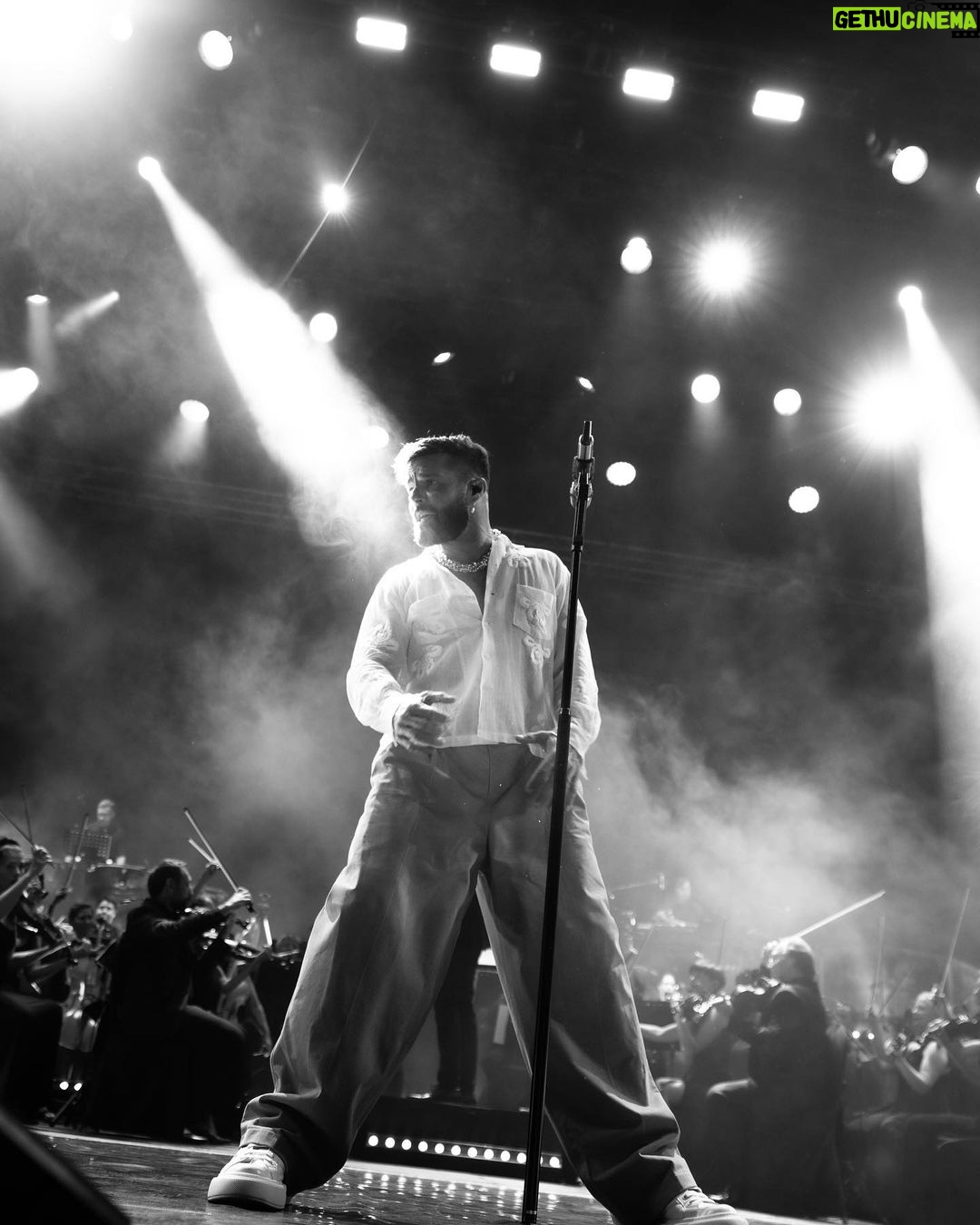 Ricky Martin Instagram - #photodump gracias #Mendoza . 📸: @leandrovco 👕: @dvlstylist Argentina