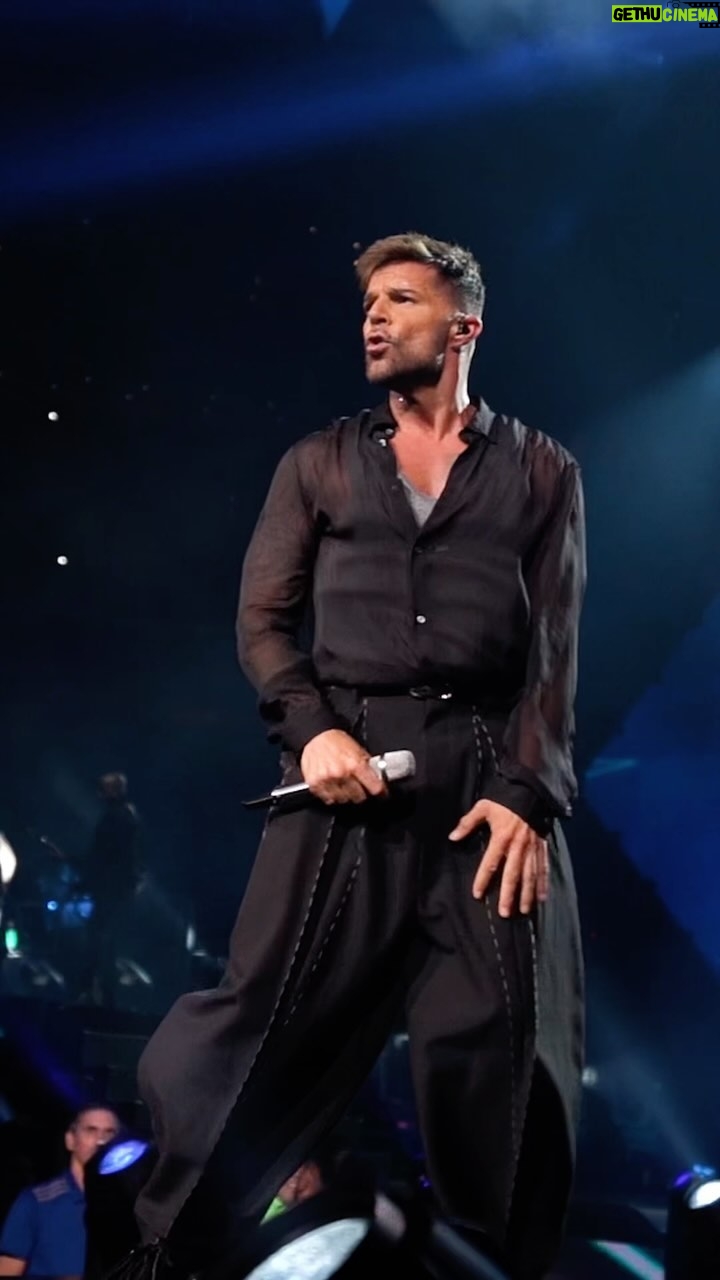 Ricky Martin Instagram - Detroit you are next! See you tonight #trilogytour . 📷: @leandrovco Post production: @jlvn1161