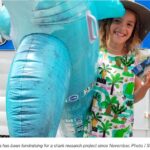 Riley Elliott Instagram - Big shout out to the amazing 8 year old Scout Garea from Whangamata, who has been busking and crowd funding to raise funds to sponsor a Great White satellite tag. The Great White project took off so quick that all the satellite tags have been sponsored already, but this hasn't deterred Scout from now dedicating raised funds to acoustic tags, which I will also be deploying on the Great Whites, as another tool used to track habitat use and movement. If I get more permitted tags after this round of 20 Great Whites, which is a massive hurdle in itself, I will be sure to get Scout on board as one of the first ;) What an amazingly awesome Kiwi story of citizen science, and an incredible reflection of how far we have come from the Jaws era, to a very pro-shark one through education, understanding and respect for the natural world. https://www.newstalkzb.co.nz/news/national/whangamata-8-year-old-raising-money-to-track-great-white-sharks/?utm_source=newsshowcase&utm_medium=discover&utm_campaign=CCwQ242xq4mHoMtSGNjizY79zJP0vwEqKggwENeZlfLgrrDooQEY-qXj_qe0yMSqASoQCAAqBwgKMIenrgswlLLGAw&utm_content=related Be sure to check out the Great White App at sustainableoceansociety.co.nz where you can follow the two tagged Great Whites at present, sponsor an acoustic tag or make a donation to support the running costs of field time over the next two months aimed at deploying the remaining 18 satellite tags.