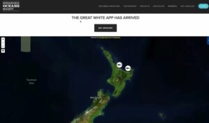 Riley Elliott Instagram - The GREAT WHITE APP is here!
Over the past several weeks I have been on the water trying to deploy satellite tags on Great White sharks in NE New Zealand. Through the incredible generosity of the NZ public, 16 tags have been sponsored. Two Great Whites have been tagged so far, Daisy and Takami, making history as the first ever tagged in this region. If you visit www.sustainableoceansociety.co.nz on any device, you will land in the Great White App. This has been developed thanks to @earthrangertech and The Dream Factory and it's free to the entire world. I will endeavour to tag more Great Whites in the New Year, and ongoing, in order for us to not only generate novel scientific data critical to the conservation of this endangered and protected species, but also to provide public information to empower a greater understanding of how our recreation activities may overlap with theirs; the ultimate goal being a healthy respect and level of co-existence which ensures we get to enjoy the ocean, and they continue to live in it, providing key ecosystem services.
There's plenty of information on the App, below the map, regarding how to use it, how detection locations are obtained and why some appear to be on land at times. 
Thank you to the NZ public who sponsored tags; the first two being Daisy by Jane Mowbray, and Takami by Mazda NZ
Thank you to @extremeboats.nz @yamahamarinenz  @gfabtrailers @raymarine_nz @seadek @mazda_nz Hunter Signs Ltd for supporting this project and ongoing marine exploration through the vessels and accessories.