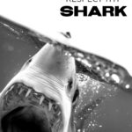 Riley Elliott Instagram - December feature 🦈 Gracing the pages of this month’s magazine is a compelling and educational article by marine biologist and shark expert @thelifeofrileynz. Packed with thought-provoking information and stunning imagery from @amberandfriendsphoto, it will give you a new perspective on our toothy friends. A must-read for everyone 🙌 Instores and online now (link in bio) #fishing #fishingnz #nzfishing #newzealand #snapper #fish #kingfish #nzfishingnews #catch #boating #fishingaddict #shark New Zealand