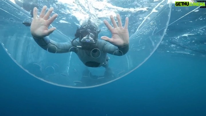 Riley Elliott Instagram - Shark Week finally hits NZ and Australian shores!!!! Dive into it, literally with me on this facebook interactive video https://fb.watch/h3tiKKloMh/ a full 45 min GW dive, on set as we filmed my show this year. There were some epic shows this year, some of my favourites were Mecha Shark by our very own @kinascollay down at Stewart Island, doing what he does best, extreme cage diving in a shark shaped cage!!! Another of my faves was Jaws vs the Blob. Sounds weird, but it’s an awesome show with @thesharkdoctor Craig O’Connell, @abc4explore Andy Casagrande and @sharkgirlmadison Stewart. It spells out how climate change induced shifts in ocean temperature can re-distribute populations of sharks forcing unprecedented overlaps in demographics with unknown affect. Climate change was a phenomenon also relative to the show I created this year for @sharkweek ‘Clash of the Killers - Great White vs Mako’ - flashy American style title, but an epic adventure I undertook with @saminthewild_ in order to chase down the NZ location where two of the world’s gnarliest apex predators may overlap. No jokes, this was one of the most treacherous missions any of the crew had undertaken; 60 knot winds overnighting behind active volcanoes and all! Be sure to check it out on Weds 30th Nov 9:30pm on @discovery channel Thanks to @radleystudios for co-producing this so well, and the crew that went to literal hell and back on the high seas with me, Sigi Spath, Cam Spath, @wazzagreen, Tony Spear, @liquid_action_films Dave Abbott, Sean Kelly, @bill.turner98 @amberandfriendsphoto George and Dean Savage. Also watch out for some of my previous shows made in NZ also on Mako night it seems; Weds 30th at 3:50pm Ronda ROusey Uncaged, and at 5:30pm Mako Nation (one of my best in NZ). And the epic Sharks of Headstone Hell is as always coming back on screen! Another one of my faves I have to mention was Walking Sharks with @forrest.galante as it’s just an amazing adventure somewhere very remote and with excellent investigatory methods by my bro Forrest.