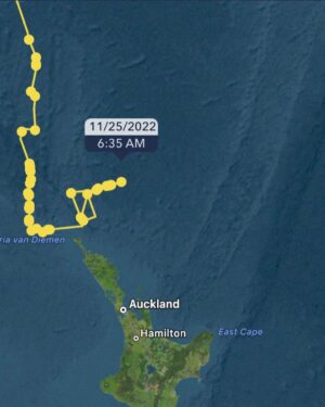 Riley Elliott Instagram - A fascinating time in NZ for ocean life. This time of year we get the E Aus current pushing down our warm summer water. Already we have had sea snakes, turtles and migratory birds turn up. Also Great whites popping up in harbours likely pupping. This map shows an awesome Tiger shark I have followed for a long time, tagged by Australian scientists at Norfolk Island after we did a @sharkweek show the year prior, emphasising the need to study these animals and they did a great job tagging a bunch which you can follow on the @ocearch  app. It’s my silent addiction watching where these sharks move and as you can see by the sea temperature map, this shark is moving towards NZ with that descending warm water. Tiger sharks generally reside within water over 22’C and this shark is doing just that. We used to have many records of Tigers caught out at Mayor island but research shows they generally stay deep and so are rarely seen. But I’ve also seen photos of baby Tigers caught in the Hauraki Gulf just off Auckland CBD which shows some novel and unprecedented pupping behaviour. Long story short, satellite tracking provides some amazing insight into animals and that is the endeavour of my Great White project, where people can sponsor a shark, name it, and a soon to be released website will allow anyone to follow their movements. It’s good for the sharks through scientific conservation but also for us, to best educate ourselves on where we may wish to swim. If you are interested in sponsoring a great white go to www.sustainableocean society.co.nz link in my bio