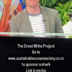 Riley Elliott Instagram - With more Great Whites around NE NZ than ever before it is critical that we understand their movements in order to not only be educated about where and how we recreate in the ocean but also to help conserve this protected species. If you are interested in sponsoring a tag and thus a shark, that you can name and track online for free, please go to www.sustainableoceansociety.co.nz for information on the cost and what’s involved with the Great White App which allows the world to follow where these sharks go. This is a call to those everyday NZers, those big corporates or those small business owners, anyone with a passion for the ocean who wish to support its health and our love to play in it.