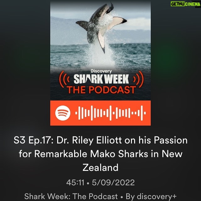 Riley Elliott Instagram - Check out the @sharkweek podcast from @discovery channel hosted by @luketipple with myself talking about my recent Shark Week show featuring Mako and Great Whites but also a wider background into working with these animals. Find it on Spotify or wherever you get your podcasts
