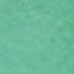 Riley Elliott Instagram - And then they re-emerge from the depths. The deed done. Incredible how sharks have been capable to keep this secret from humanity for so long. Now these two will seperate. Mum to brood her pups in the warm summer shallows while the male will segregate to better pastures and more food.