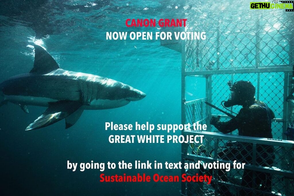 Riley Elliott Instagram - Hi guys, please help support the Great White Project by voting for Sustainable Ocean Society in the Canon Oceania Grant competition which is now open. the link is in my bio so click that to vote: or search for this https://www.canon.co.nz/about-canon/community/grants 1)Click on the red Vote Now tab situated on the right-hand side of the screen. 2)This will take you to the voting form. 3)Choose the Environment category and from the drop-down menu, place your vote for SOS This grant will help with the Photo ID work we use to identify individuals by their unique markings, which is key in creating population estimates in the area, and tracking individuals who are present through time, as well as unfortunately if they are killed in fishing equipment as seen over the past few summers. Thank you so much. And please share on your pages, the most votes wins :) Thanks @canon.nz for such amazing support for such a wide range of projects and for so many years !!!!
