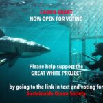 Riley Elliott Instagram - Hi guys, please help support the Great White Project by voting for Sustainable Ocean Society in the Canon Oceania Grant competition which is now open. the link is in my bio so click that to vote: or search for this https://www.canon.co.nz/about-canon/community/grants 1)Click on the red Vote Now tab situated on the right-hand side of the screen. 2)This will take you to the voting form. 3)Choose the Environment category and from the drop-down menu, place your vote for SOS This grant will help with the Photo ID work we use to identify individuals by their unique markings, which is key in creating population estimates in the area, and tracking individuals who are present through time, as well as unfortunately if they are killed in fishing equipment as seen over the past few summers. Thank you so much. And please share on your pages, the most votes wins :) Thanks @canon.nz for such amazing support for such a wide range of projects and for so many years !!!!