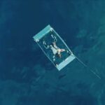 Riley Elliott Instagram - The incredible clip of the moment @jimipartingtonsdx experienced the full potential of an adult Great White shark but walked away unharmed. This clip comes from one of the best @sharkweek shows I have ever seen, Great White Open Ocean, created by @jeff_kurr also featuring @animalbrandon and @dickie_chivell with filming by @liquid_action_films It’s such an amazing story for me because it showcases someone with true talent and passion for working with animals. @jimipartingtonsdx brings the nature kid out in all of us when watching this, the lust to understand wild animals and even the largest and most dangerous of them. And even after such a potentially life threatening encounter, he had the knowledge and experience to look down, spot the shark and swim for the boat but then the most important part, tell us that he chose to put himself there, in a plastic box, where the shark continually started testing him and it, and how the shark recognised when he wasn’t looking and came in full tilt to test, likely what the cage was and why Jimi was in it. There’s no blame on the shark from Jimi nor anyone, rather the only blame is the pure intrigue to learn more about animals and how far one can go to do that. If you haven’t seen this show it is amazing. So well shot and edited, incredible music that emotionally connects you to what it is that draws us to swim with sharks, and it’s a tale of passion, determination and a guy who will be back working with sharks because that’s who he is. Thanks @sharkweek for enabling the creation of some pure magic here. Congrats to the team involved and all the best Jimi on the recovery. #sharkweek