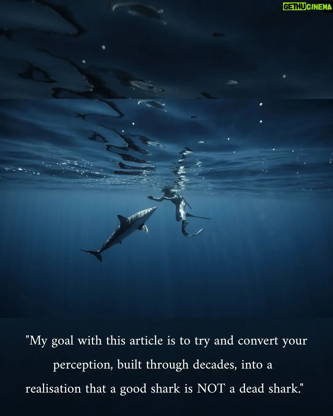 Riley Elliott Instagram - December feature 🦈 Gracing the pages of this month’s magazine is a compelling and educational article by marine biologist and shark expert @thelifeofrileynz. Packed with thought-provoking information and stunning imagery from @amberandfriendsphoto, it will give you a new perspective on our toothy friends. A must-read for everyone 🙌 Instores and online now (link in bio) #fishing #fishingnz #nzfishing #newzealand #snapper #fish #kingfish #nzfishingnews #catch #boating #fishingaddict #shark New Zealand