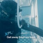 Riley Elliott Instagram - For the first time ever, #SharkWeek is headed to the Metaverse! Join me TONIGHT at 7p ET IN THE SHARK CAGE with me through this once in a lifetime immersive digital experience where we will investigate the great white sharks of New Zealand in Horizon Worlds venues and on the Shark Week Facebook page. #HorizonBlockParty Don’t miss all the heart-pumping moments as Shark Week continues on Discovery and discovery+. Follow this link to check out the event! oculus.com/experiences/event/1009477286379364/ And Happy @sharkweek thanks to @discovery @wbd @discoveryplus