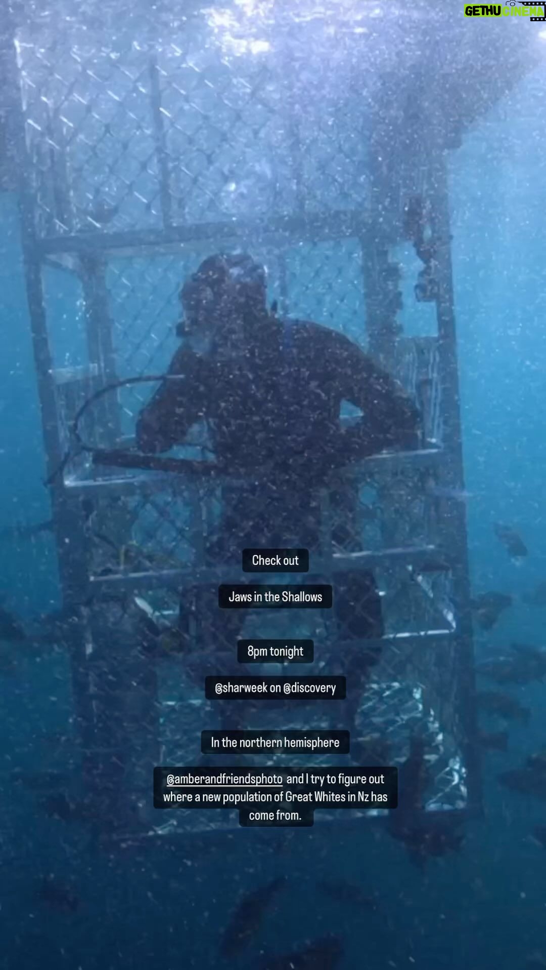 Riley Elliott Instagram - Jaws in the Shallows airs tonight at 8pm on @discovery @sharkweek for those in the northern hemisphere Check out why a new population of Great Whites has moved into my backyard. While populations in other hotspots may be disappearing, right in front of my house they are growing like never before. Join myself and my wife @amberandfriendsphoto while we get answers