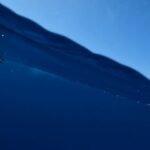 Riley Elliott Instagram - An incredible Marlin encounter off the Coromandel. @thierrymeier and I were out exploring the pelagic blue and hooked a skippie, as it came to the surface it started hiding under the boat. Thierry said ‘it feels like something is chasing it’ and next minute boom this epic striped marlin fully predated on the skipjack tuna. Luckily I had my @gopro on hand and captured a very rare insight, close up of how these incredible predators hunt. The second pass was so close I pulled my hand out of the water. An epic experience. And the skippie was fully utilised for dinner. FYI did you know that skip jack tuna are the driving food source behind many of these large pelagic predators coming south on the E Aus Current and yet this food source does not have a quota to manage its numbers nor are there any catch limits? It is the main tuna that goes into our conveniently made canned tuna though. This is why I enjoy getting my fish from within the ecosystem as you are within the environment where natural competition exists, your take is individual and you gather a lot of respect for what you harvest. We can’t all go out on boats but we should be aware of where our food comes from and how that competes with natural ecosystems.