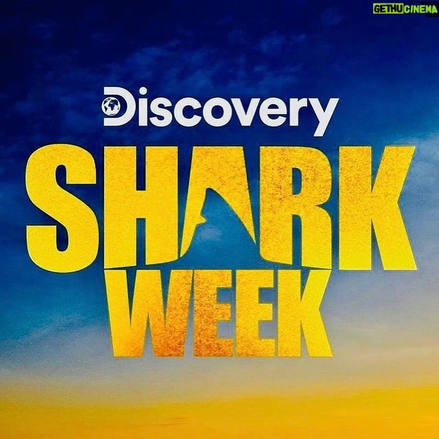 Riley Elliott Instagram - @sharkweek continues!!!! Be sure to tune in on Thursday 27th at 8pm for Jaws in the Shallows A discovery of a new and growing population of Great Whites in New Zealand. My amazing wife @amberandfriendsphoto helps me figure out where they came from, what they are doing and how dangerous it may be for us and them.