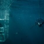 Riley Elliott Instagram - @sharkweek kicks off tomorrow in the northern hemisphere on @discovery channel and Discovery Plus. Super excited to see what my fellow shark week crew got up to. It’s such an exciting time of year to share new technology, new places, and new sharks. I generally take this whole week off and nestle in with some beers and snacks. Don’t know about you? But I just love not only the sharks but also the different ways each crew tells a story, shows us something new, and ultimately creates a tv production. Such a dream job so thank you everyone who helps make these missions happen. Happy Shark Week to all