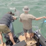 Riley Elliott Instagram - @sharkweek 2023 is a week away for those in the N Hemisphere. Some behind the scenes of Jaws in the Shallows which airs Thursday the 27th July at 8pm Be sure to check it out. Lots of Great Whites, scientific firsts, amazing Nz locations and a variety of other sharks species.