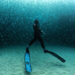 Riley Elliott Instagram - Happy World Ocean Day!!! Although, as I read many ‘I love the ocean’ posts today, it makes me wonder if people/society are really, actually, emotionally connected to the ocean and the struggles it is facing. I know much of society doesn’t work or get to play in the ocean and therefore may not have a direct connection to it. But we can still be educated about its struggles and push for change. I know millions of people do their part every day all around the world. But we need more of us to push for the ocean. The writing has been on the wall for decades. Yet decision makers, who should represent ‘our interest’ continue to be led astray. Lobbyists seem to push productivity in the wrong direction - just look at the fact the Greenland Ice Cap has now gone beyond its melting point where it WILL melt and cannot be saved. The impact of that is global. I look locally at the Hauraki Marine ‘Park’ which is a dumping zone for sediment, farm fertiliser run off, and pollution. The ocean floor is scraped to death with dinosaur fishing technology. A once thriving marine food chain has now broken, with only tiny bait ball work ups existing these days as an indicator of that. I don’t post these depressing things to kill your Ocean Day buzz but rather to set some perspective on what matters as far as action. Governments need to make the hard changes. Ones that will temporarily cause some jobs losses, financial upset, in order to shift industry. But this will create jobs, ones with long term gains that are sustainable & ultimately more profitable. Yet society makes decisions based on three or four year election cycles of popularity. So please, post your pictures like I have, which represent special moments where the Ocean and yourself connected. It may be a stunning interaction with fish. It may be an explanation of how you harvest your food, or it may be the work you do to conserve a species or invent a technology to improve our ocean. But then please push further with your messaging, inspire others. Educate others. Ensure that others are empowered. And if we all can step up that little bit more, we may overcome the big bully called the lobbyist